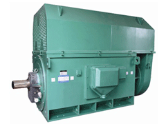 海勃湾Y系列6KV高压电机